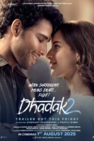 Dhadak 2 (2025) Hindi 1080p 720p 480p Download
